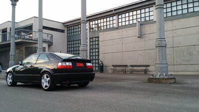 Bak